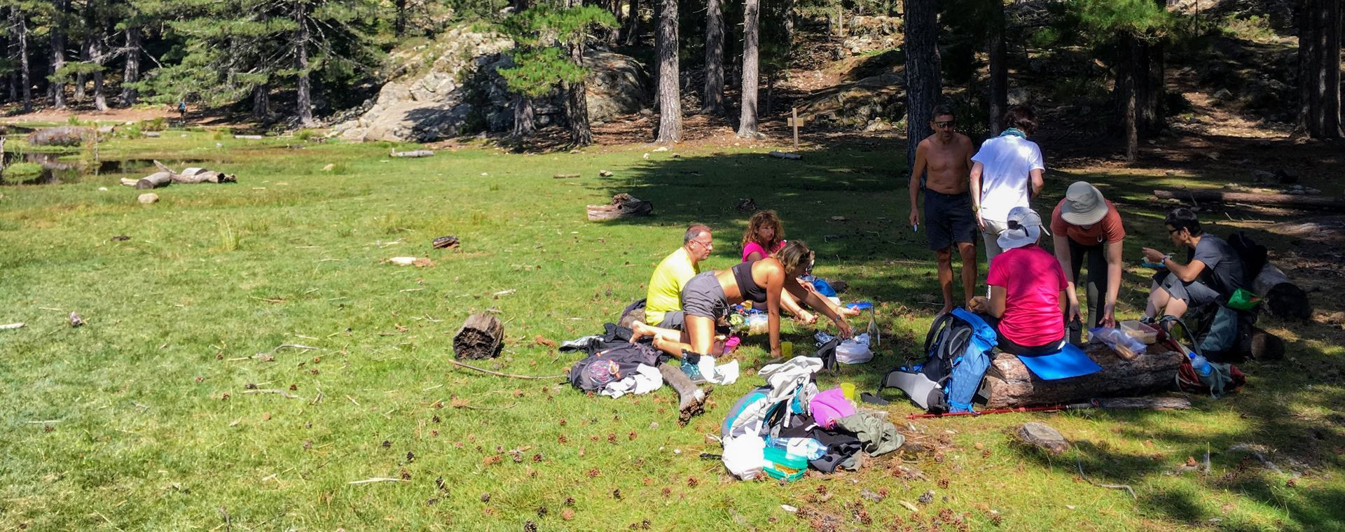 Group of hikers resting in a forest clearing - Mare e Monti trail - Corsica