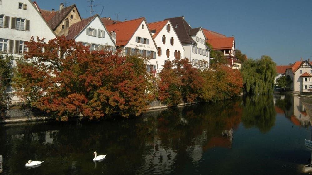 Half-timbered houses and swans at Riedlingen - Danube - Germany