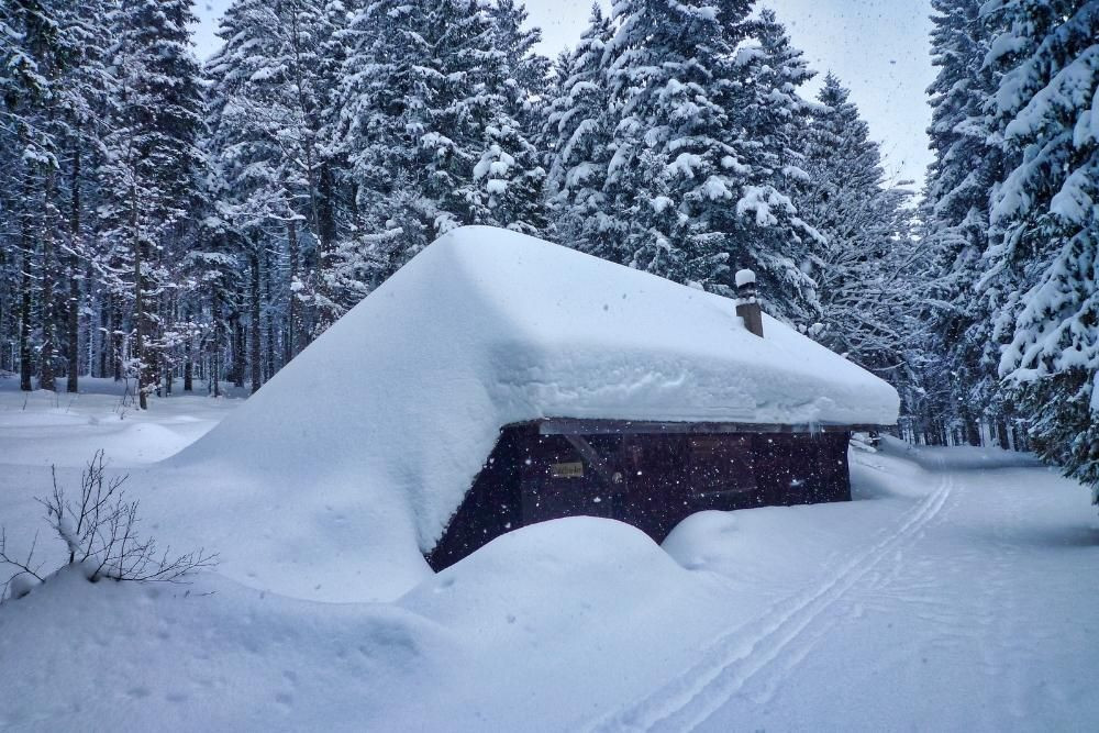 Heights of Menzenschwand © Raymond Chabanier