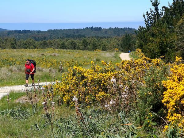 Walker on the Camino de Santiago routes