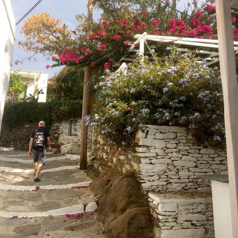 A walk along a flower-filled lane in Apollonia