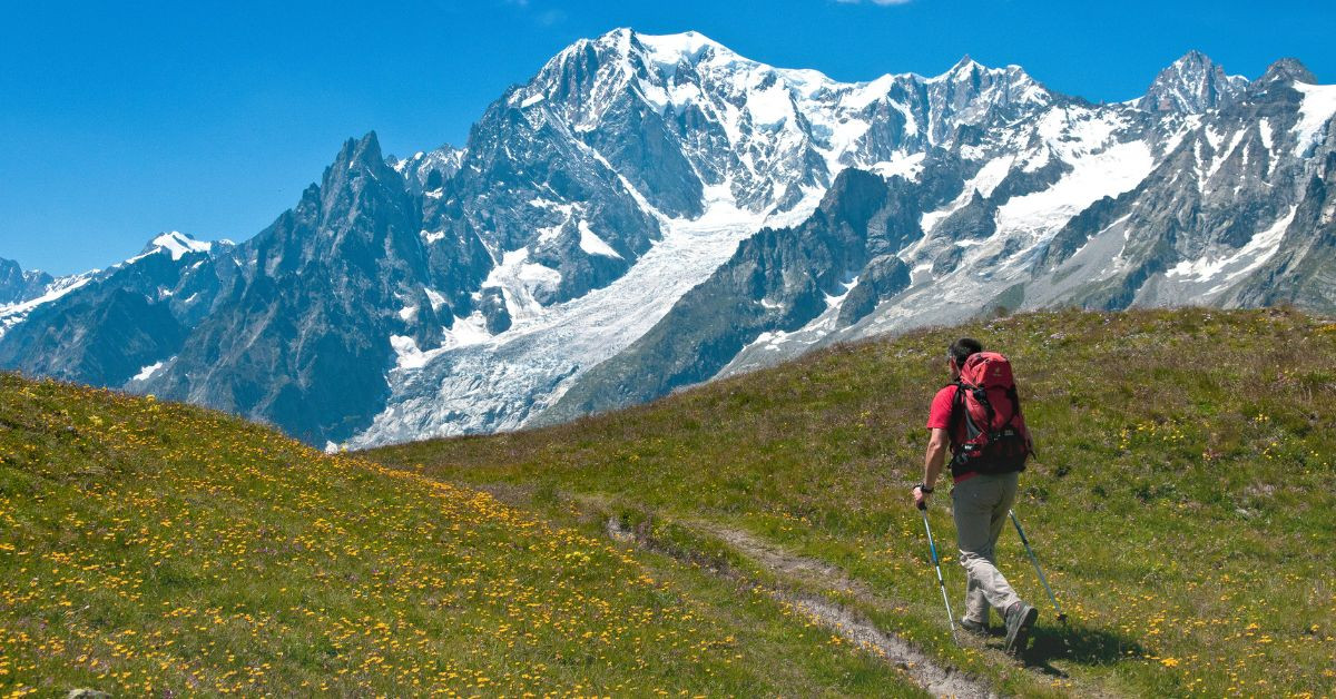 Hiker on a flower-lined trail facing Mont Blanc - Alps