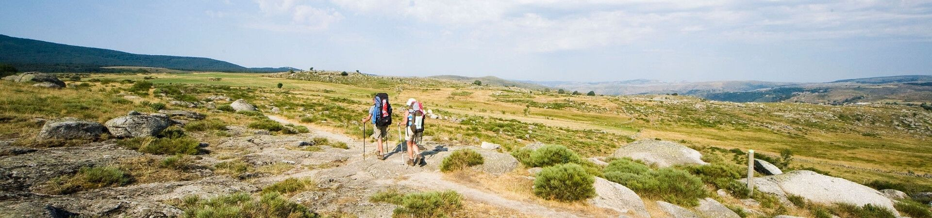 Hikers crossing the high plateaus of the Cévennes - Stevenson Trail - France