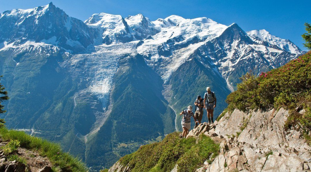 HIKING POLE