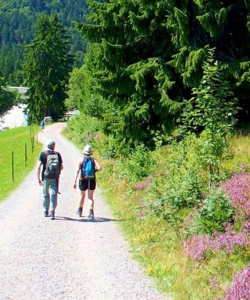 Hikers on the Black Forest trail - Germany