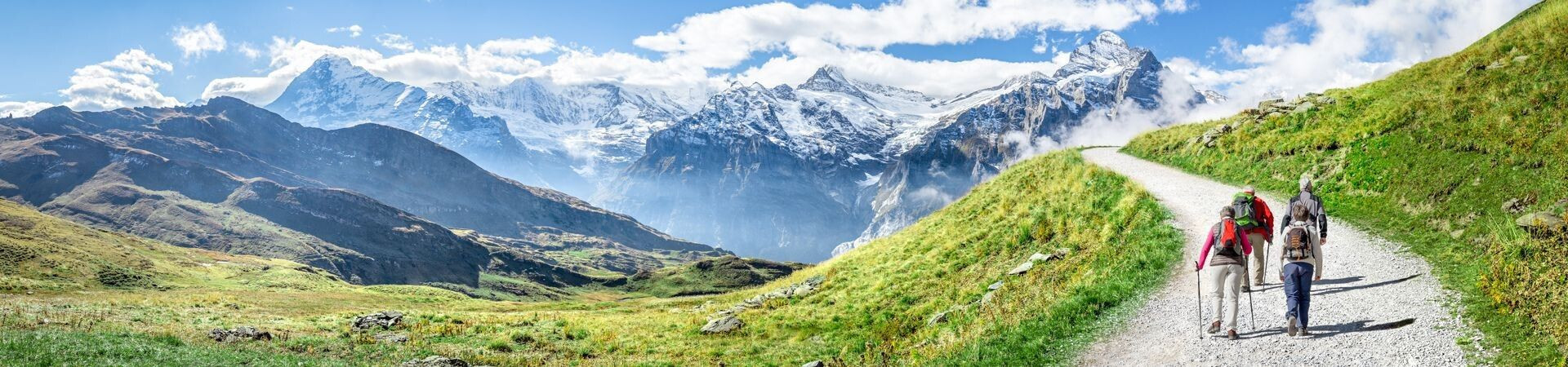 Hikers on trail facing snow-capped peaks - Swiss Alps