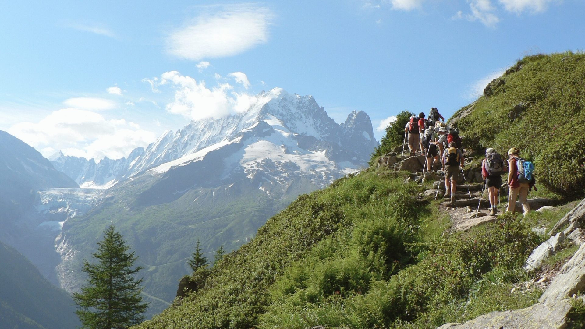 Hikers trekking facing the Aiguille Verte - Mont Blanc - France