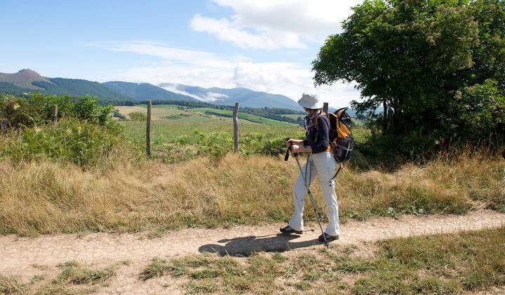 Hiker on the trail through Basque foothills - Saint-Jean-Pied-de-Port - Camino Francés - France