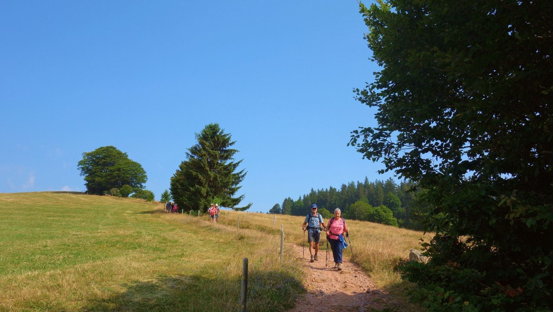 Hiking in the Black Forest - Germany