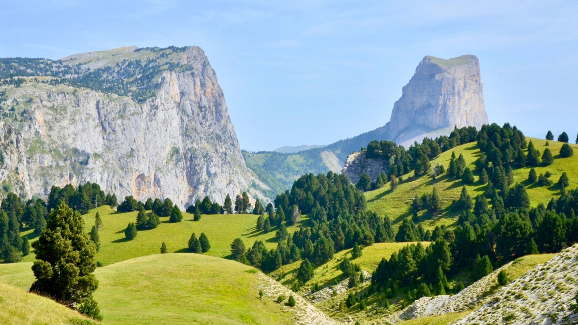 Mont Aiguille and meadows - Vercors - France