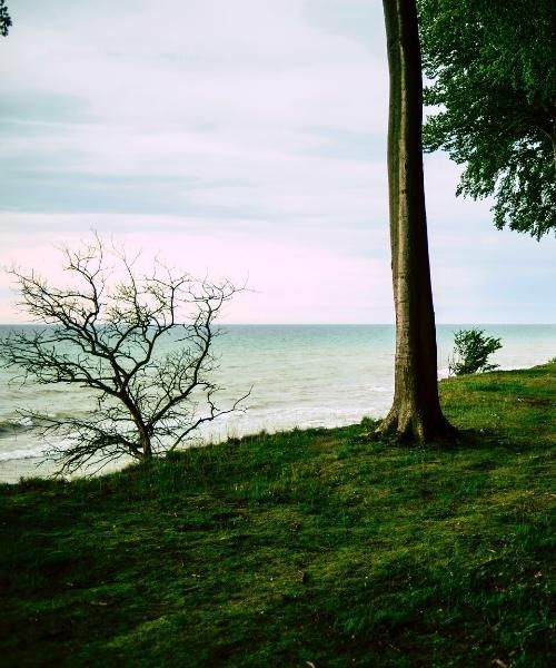© Unsplash Coast of Møn island - Denmark