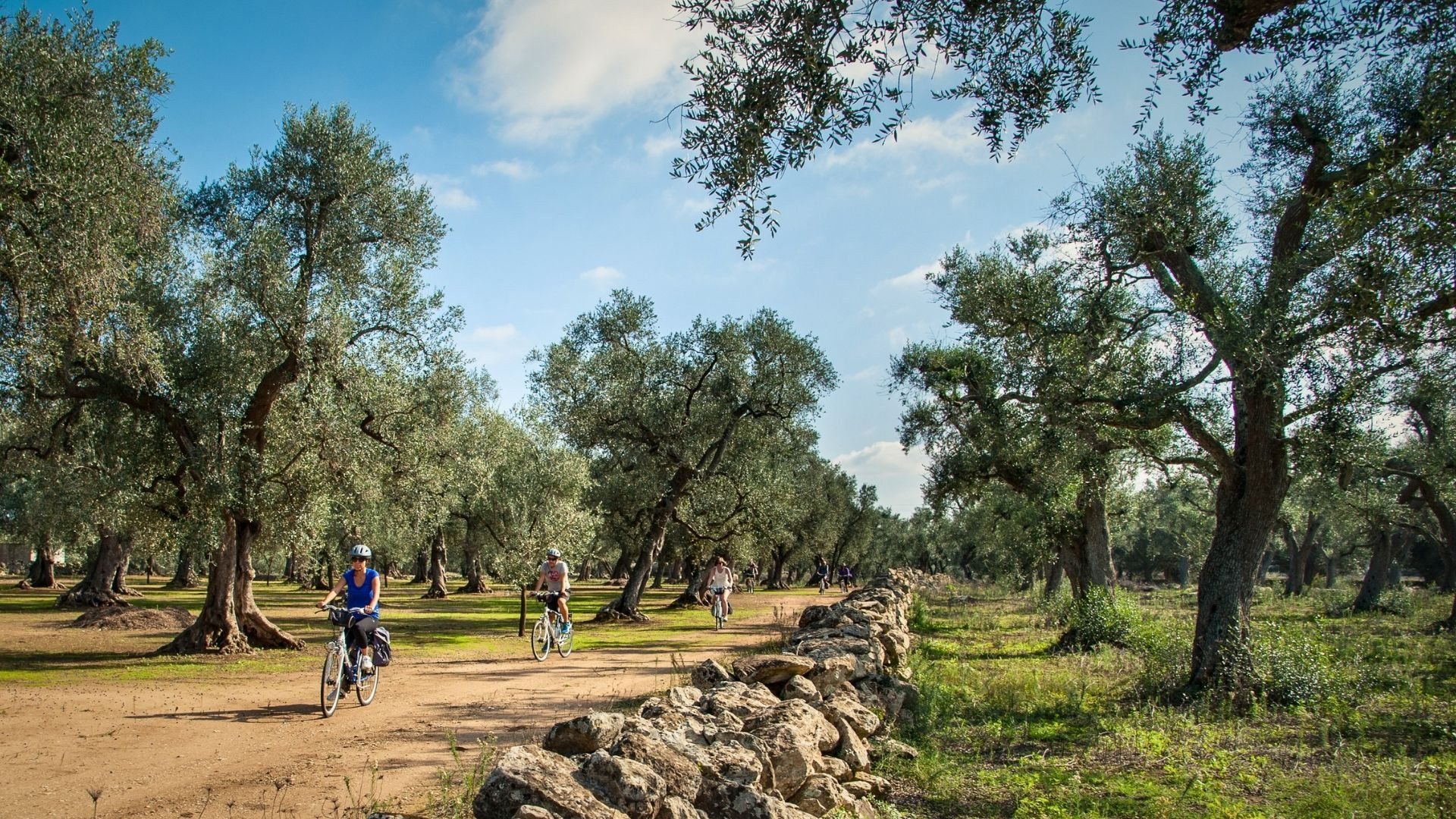 Northern or Southern Italy by bike: introductory image