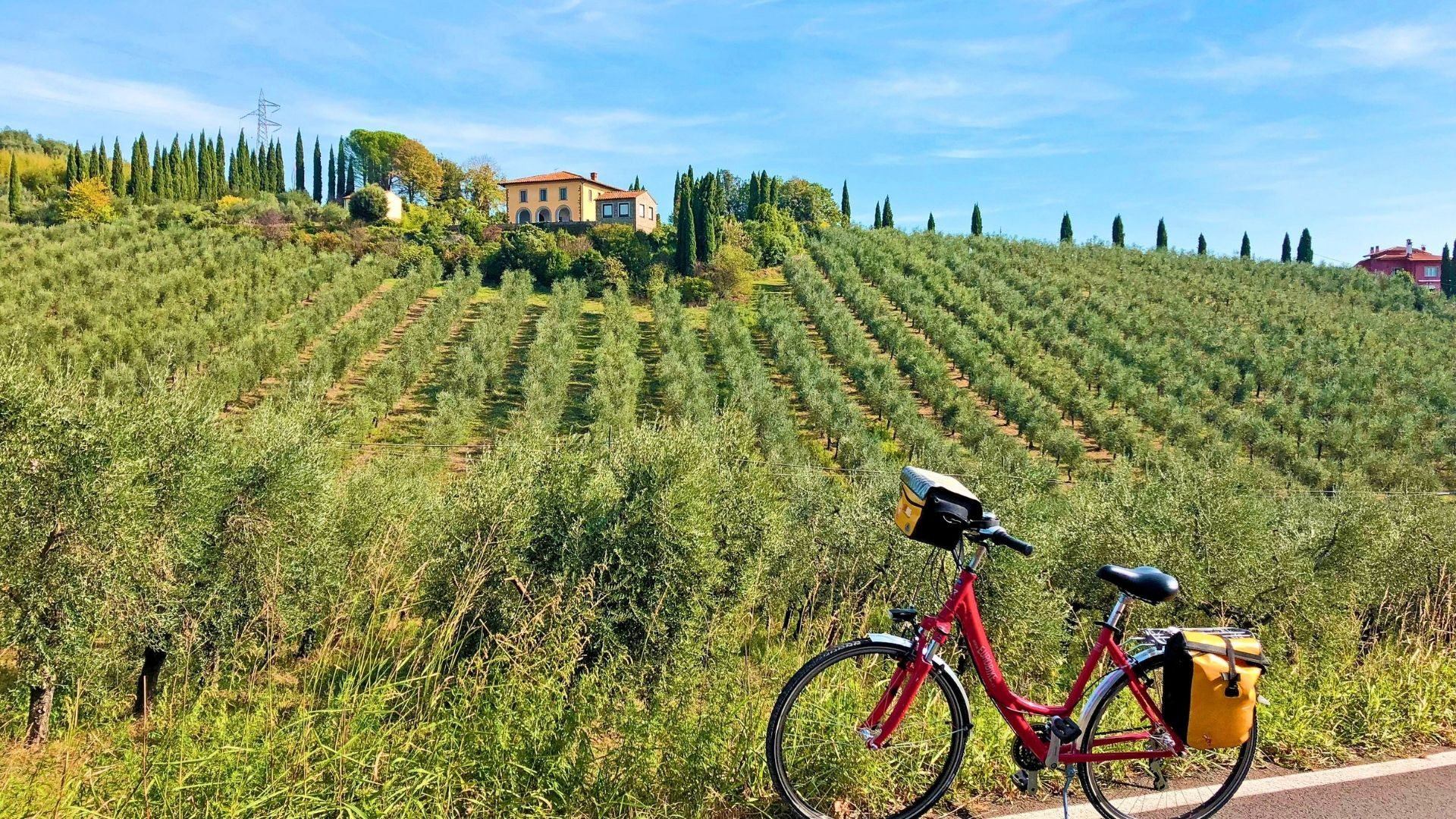 Southern or Northern Italy by bike: Tuscan wine route