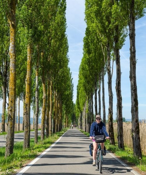 J5 Cycliste Le Long Du Lac