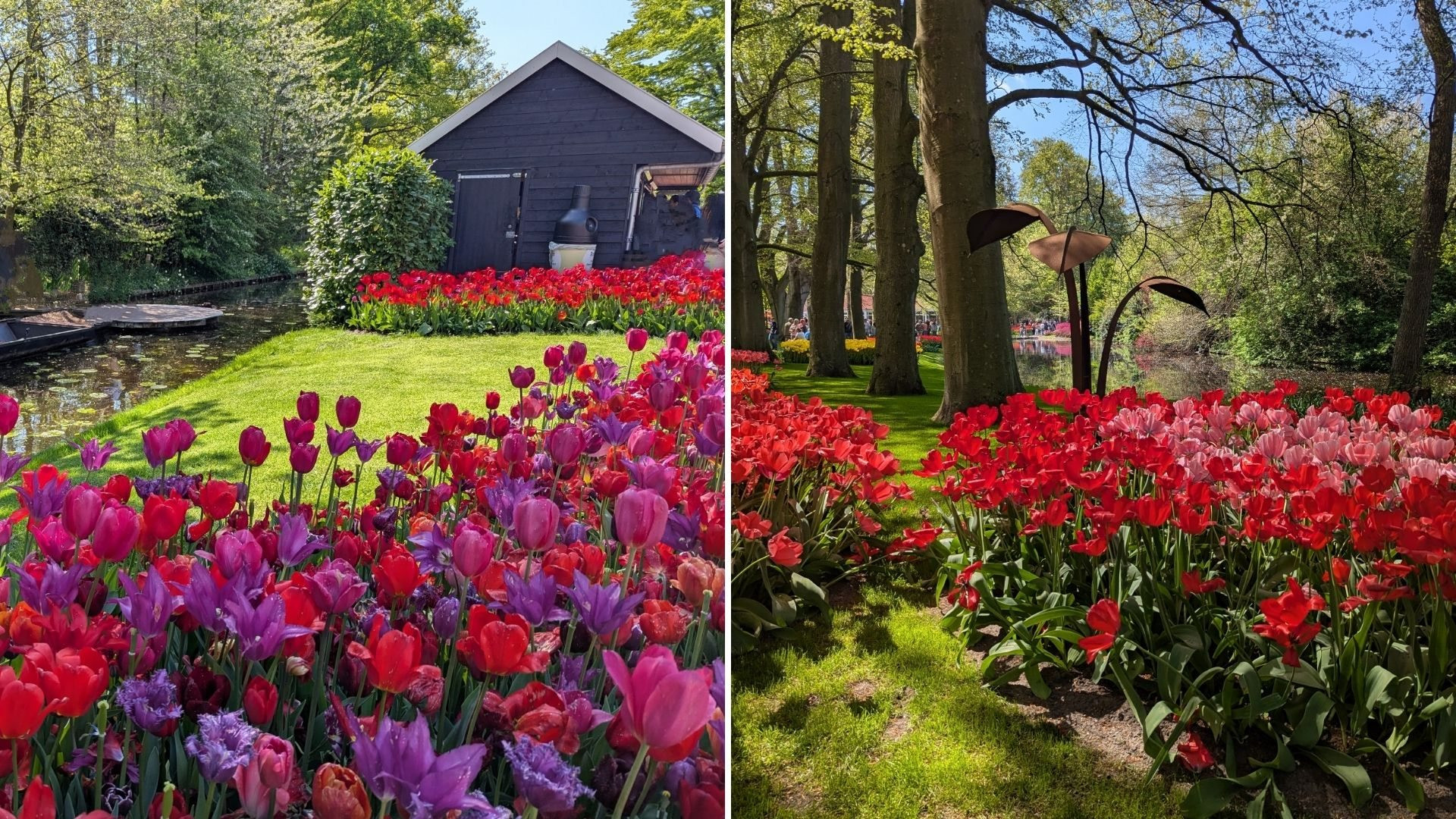 Keukenhof photo 1 article Elodie Amsterdam