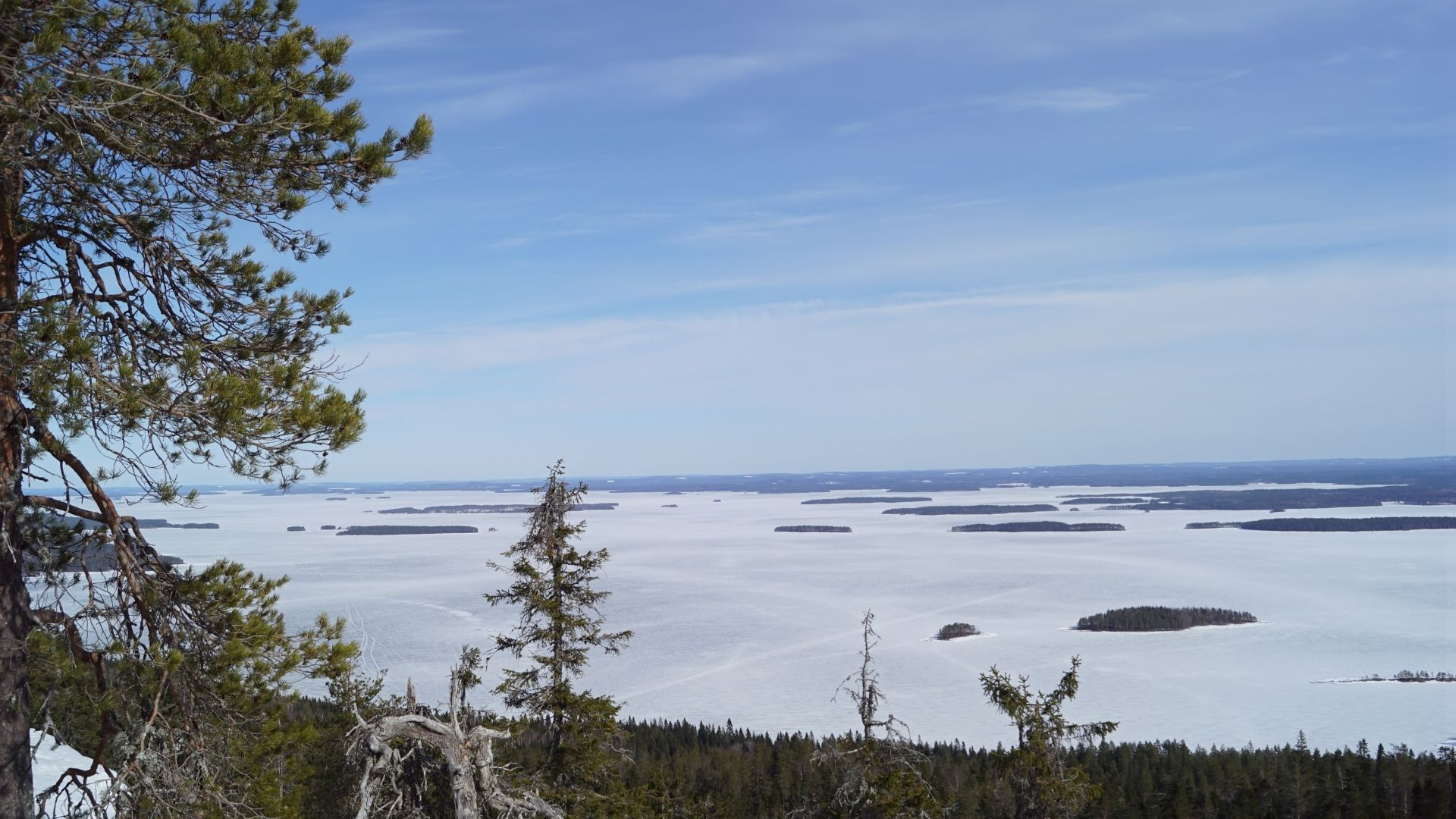Koli National Park in Finland