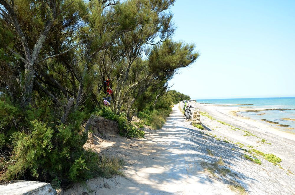 Conche beach in the west of Île de Ré