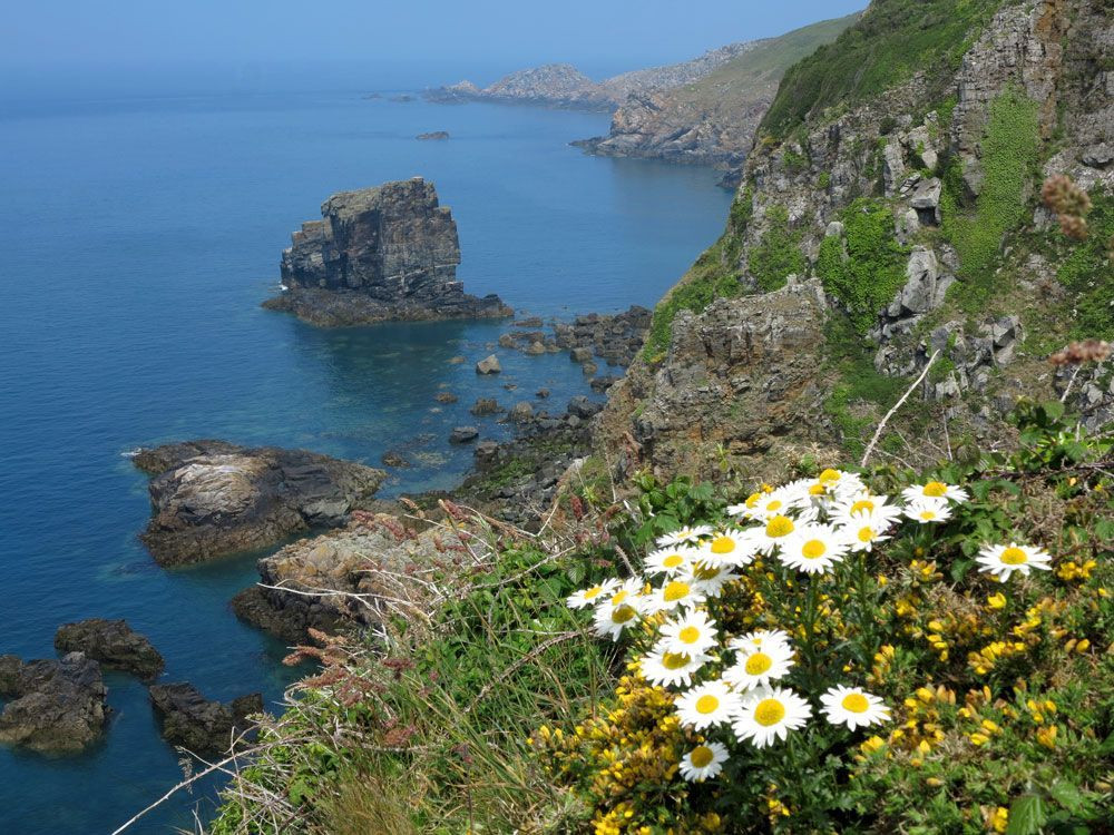 Sark's steep, wild coast and the Autelets rocks © François Ribard