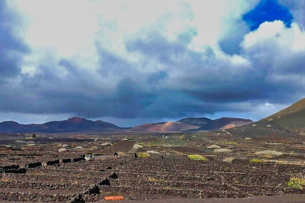 La Geria and Arrecife © Julie Marienval