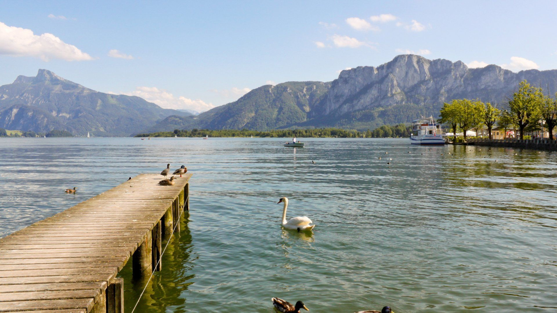Jetty and swan on Lake Mondsee - Salzkammergut - Austria