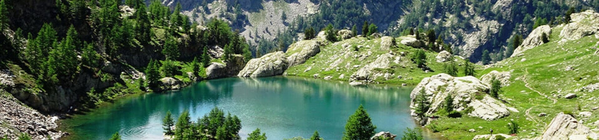 Turquoise mountain lake and larches - Mercantour - France