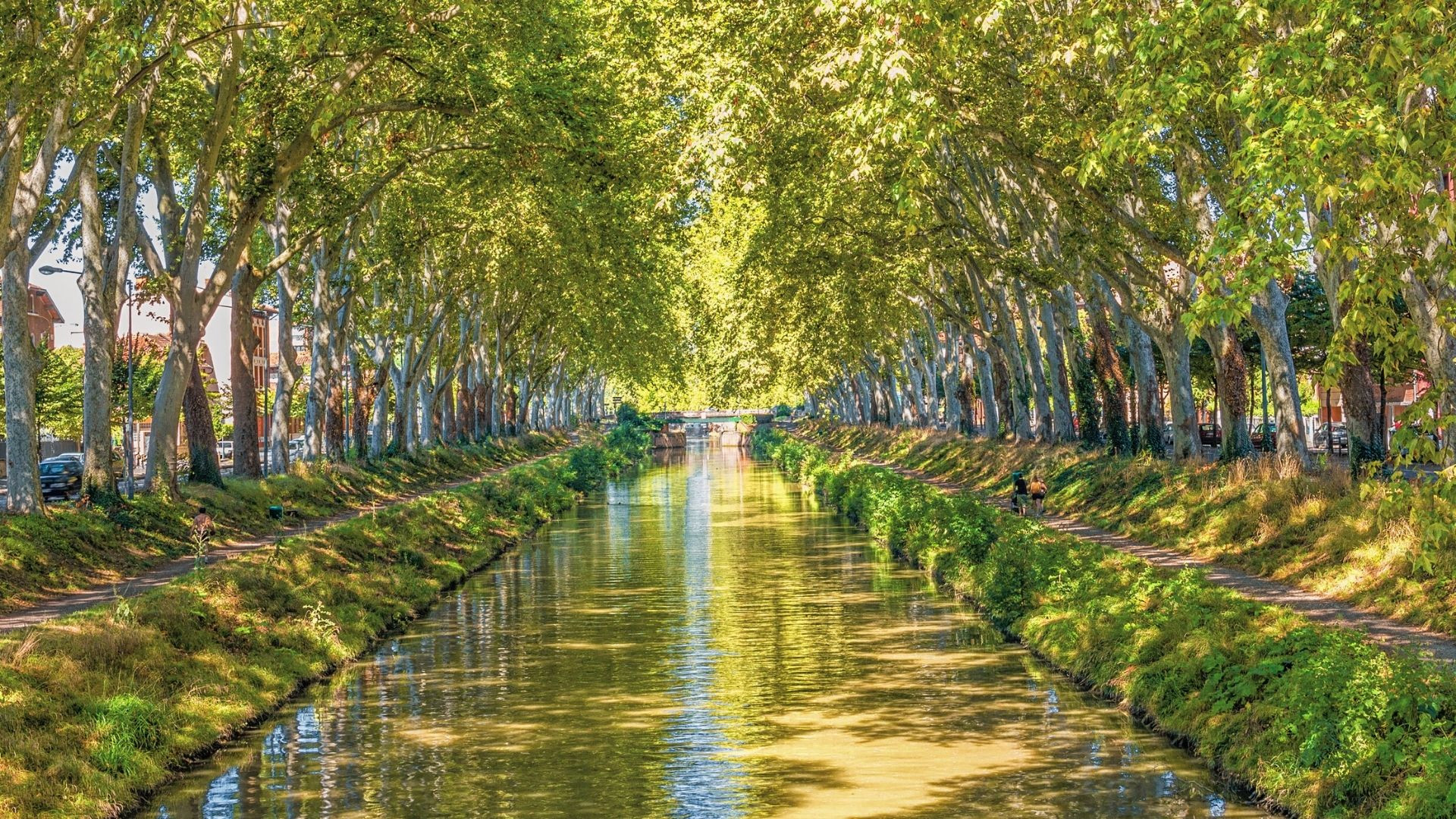 Canal du Midi lined with plane trees - Languedoc - France