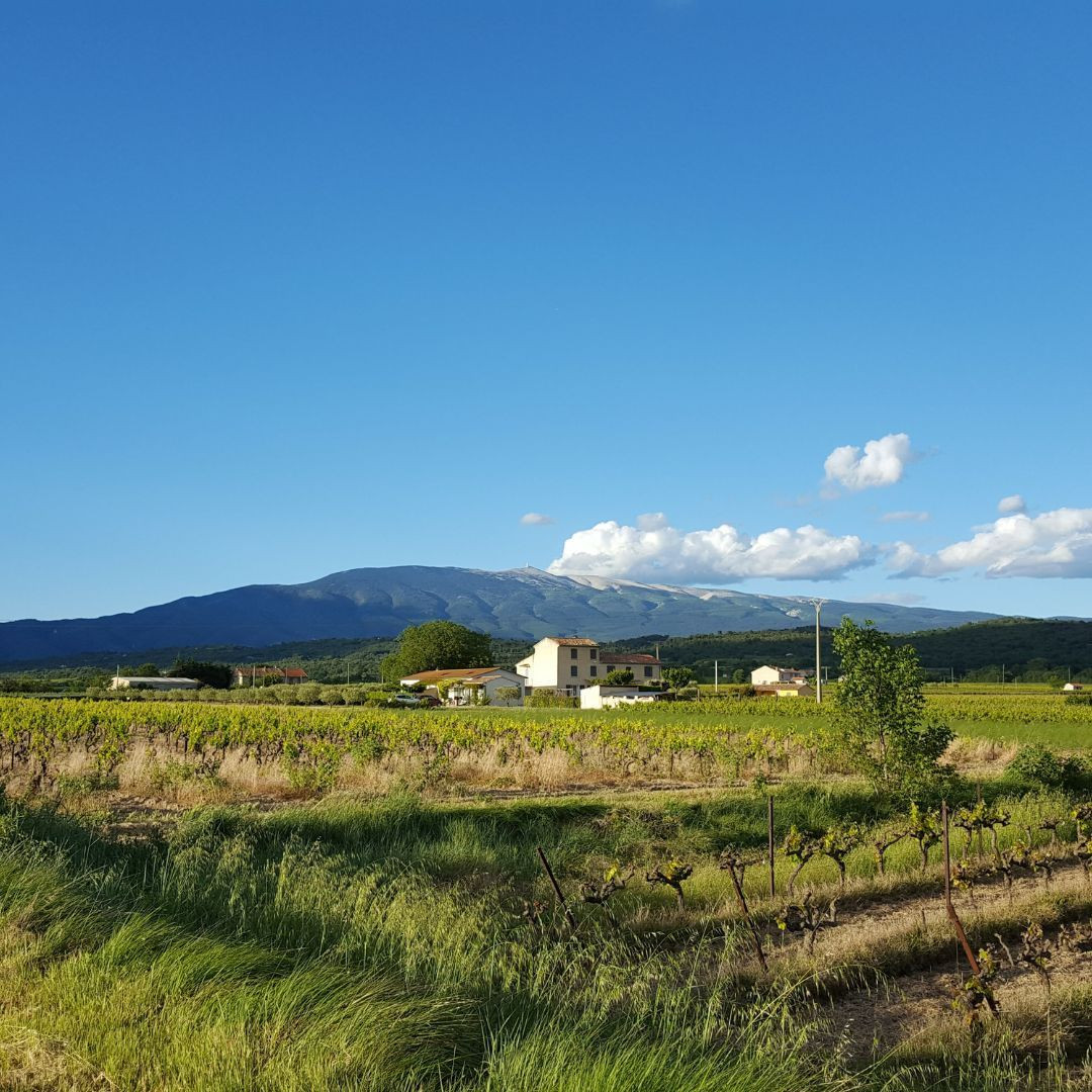 The Giant of Provence from afar © Charlotte Laventureux