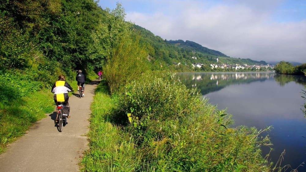 Cyclists on the path along the Moselle River - Germany