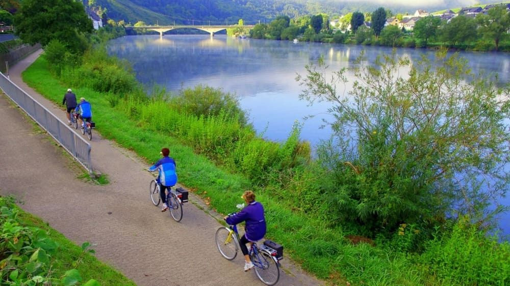 Cyclists along the Moselle river - Germany