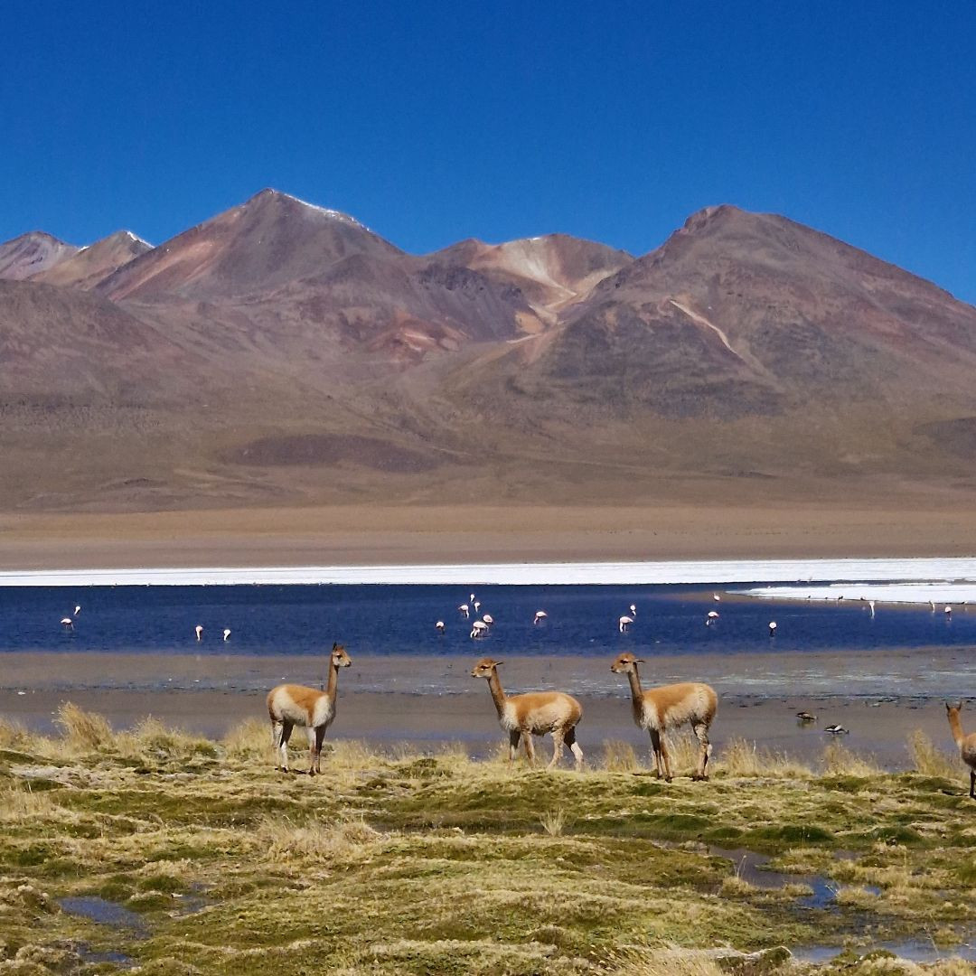 Sud Lipez, a desert region in the Andean part of Bolivia © Guillaume Lorimier
