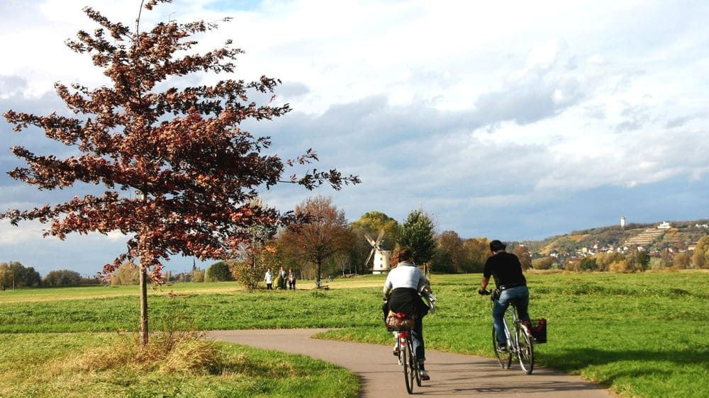 Cyclists along the Elbe near a windmill - Dresden - Germany