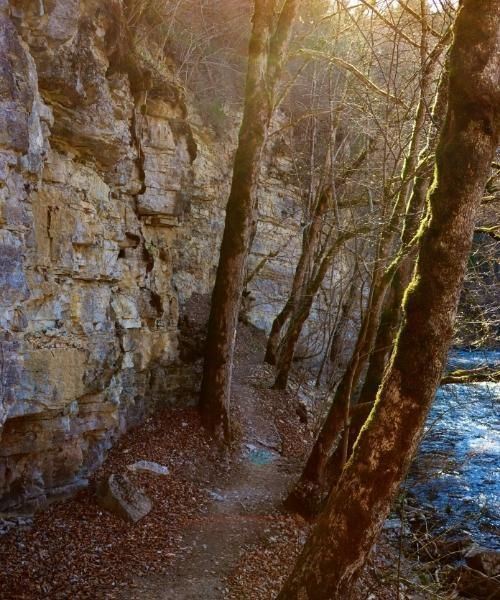 Les Gorges Dwutach Dans La Forest Noire
