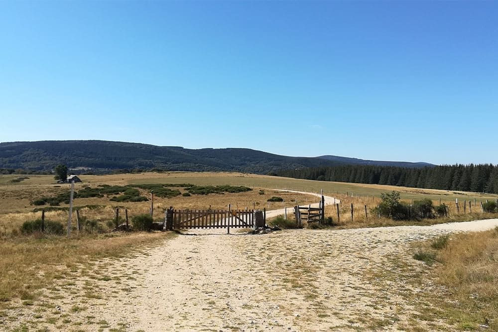 © Adrien Ozanon The high plateaux of Aubrac at 1320m ©Adrien Ozanon