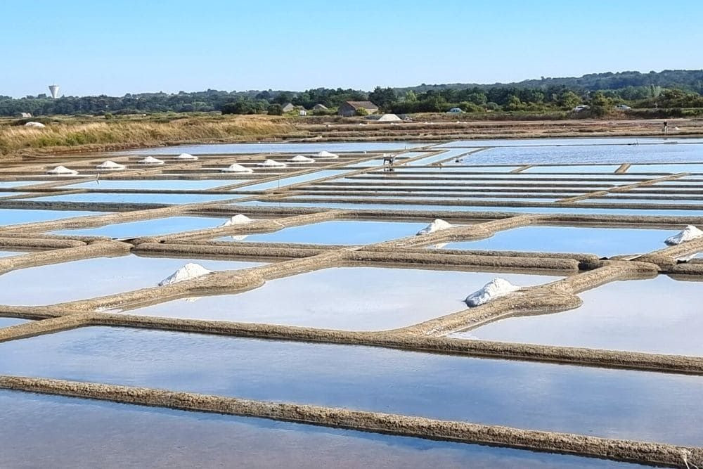 Guérande salt marshes