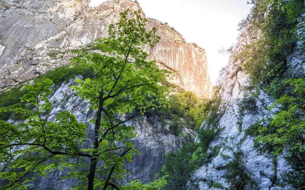 Verdon Gorges