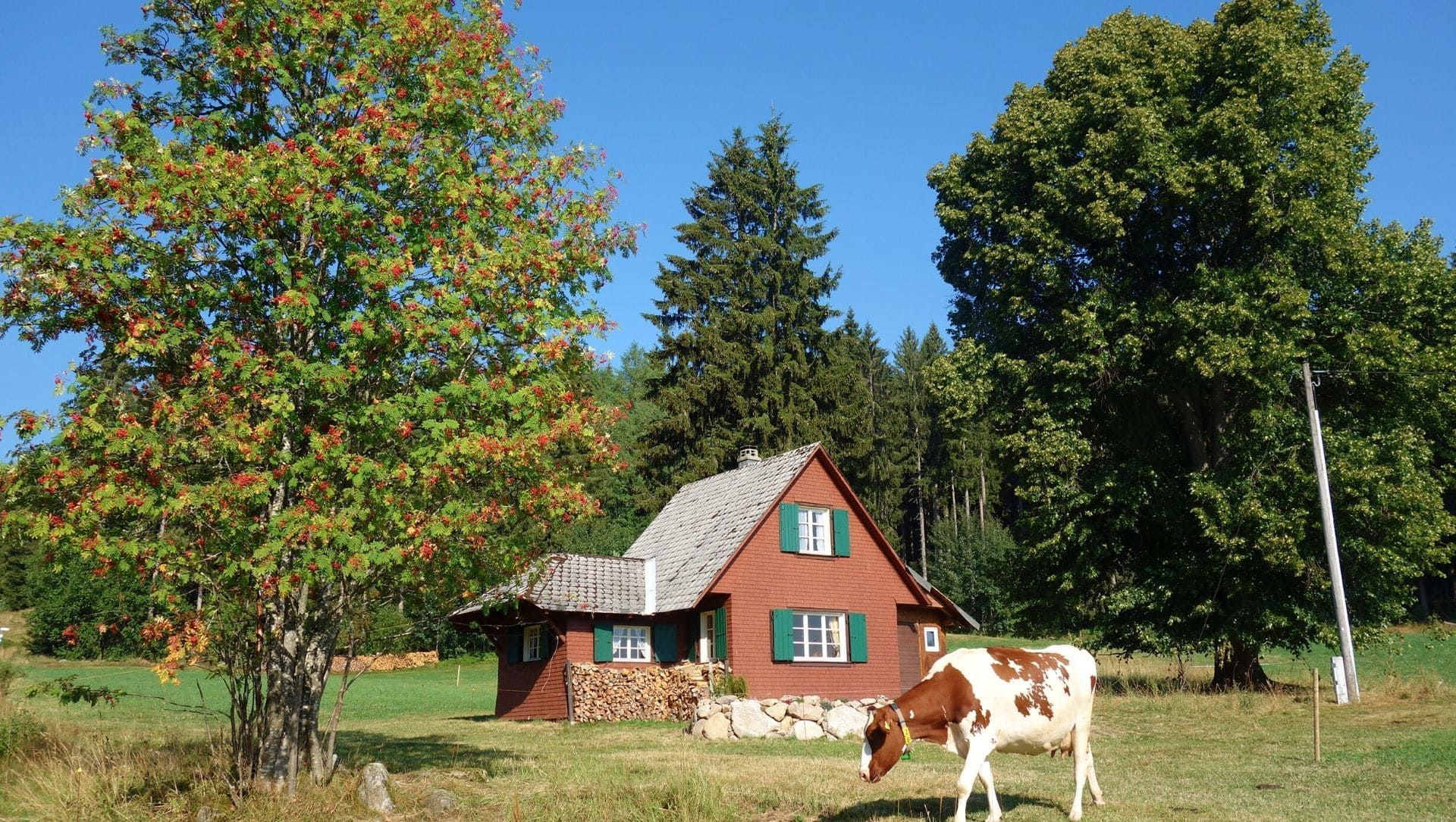 Maison Hinterzarten C Raymond Chabanier - Germany