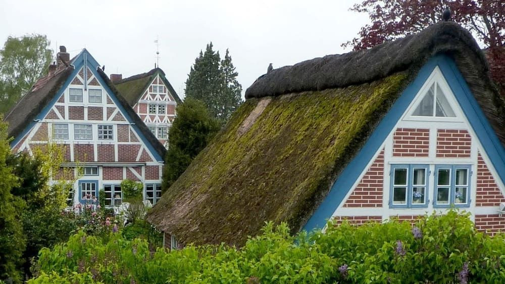 Half-timbered houses of Steinkirchen in the Altes Land - Germany