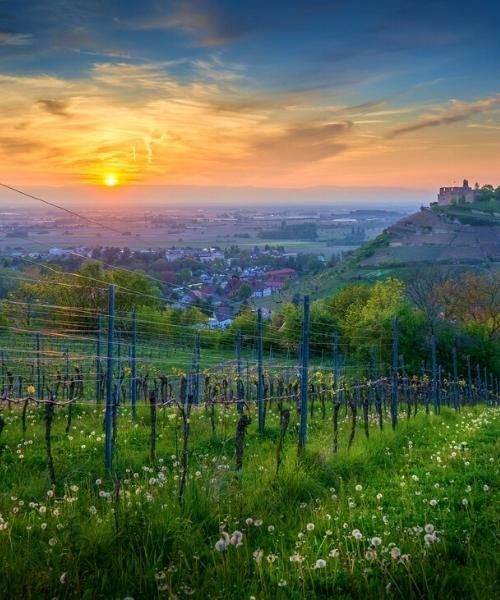 © Pixabay Markgraflerland