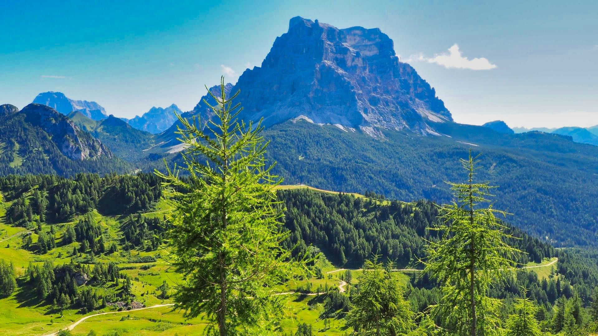 Mont Pelmo et mélèzes verdoyants - Dolomites - Italie