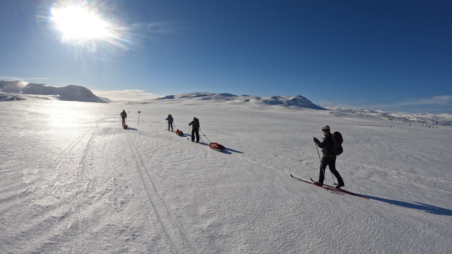 Nordic skiers with pulks on the Kungsleden - Lapland - Sweden
