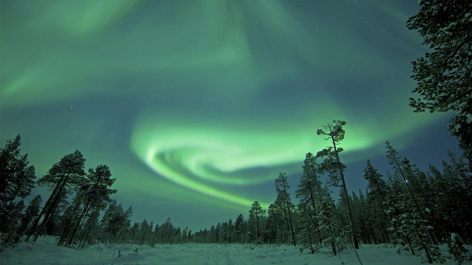 Northern Lights Trips and Holidays - Far North and Lapland