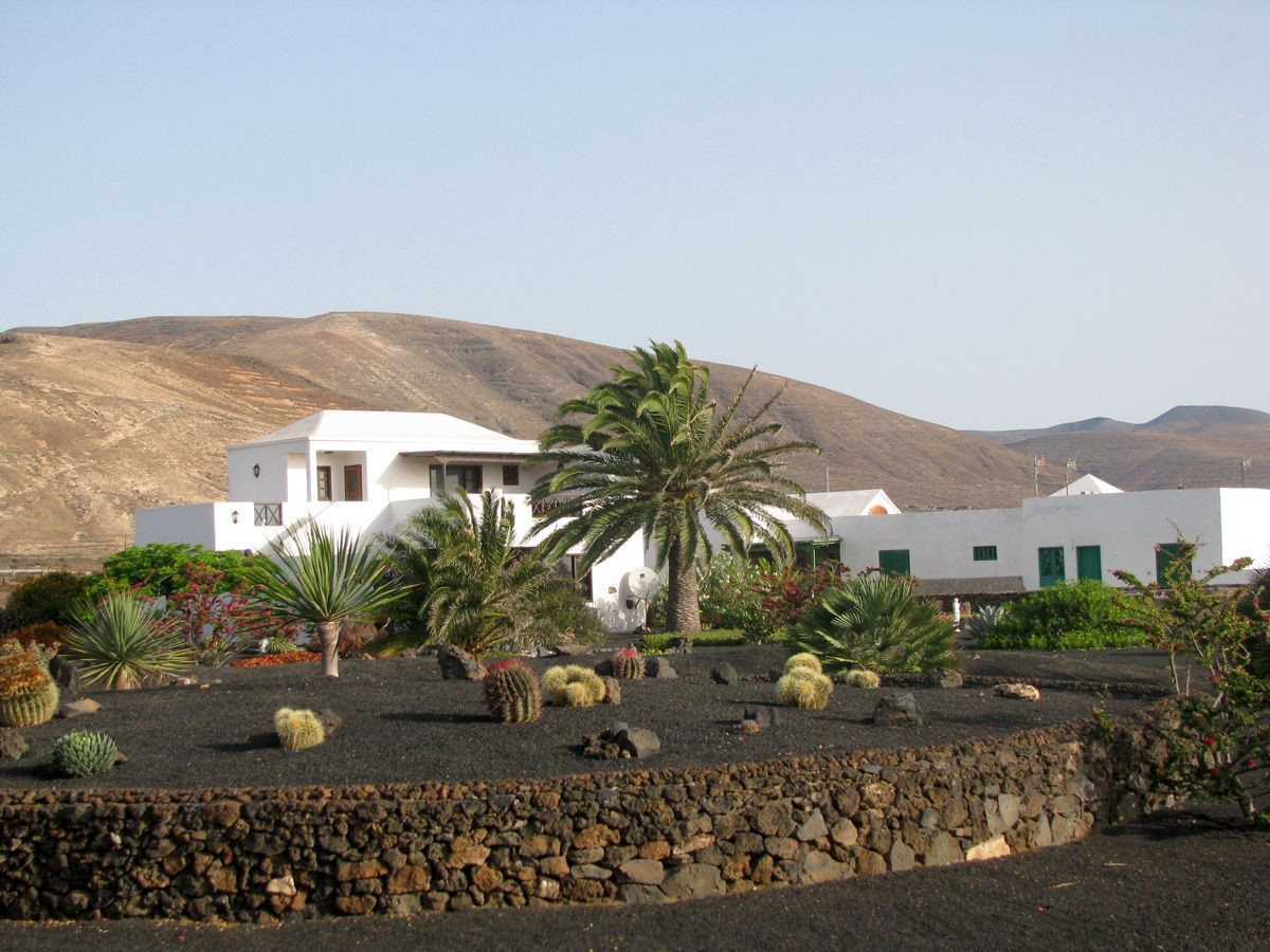 Our garden and the island's typical white houses