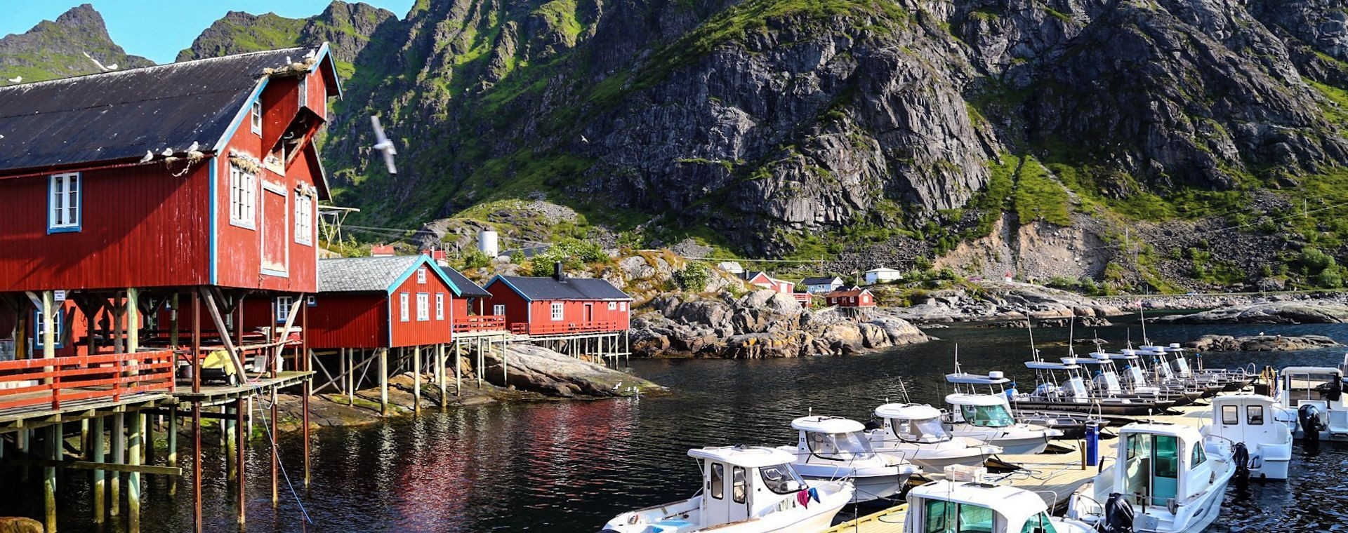 Nusfjord harbour - Lofoten Islands - Norway