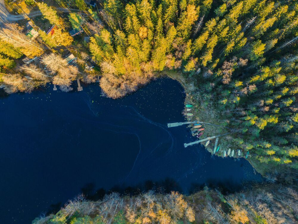 Nuuksio