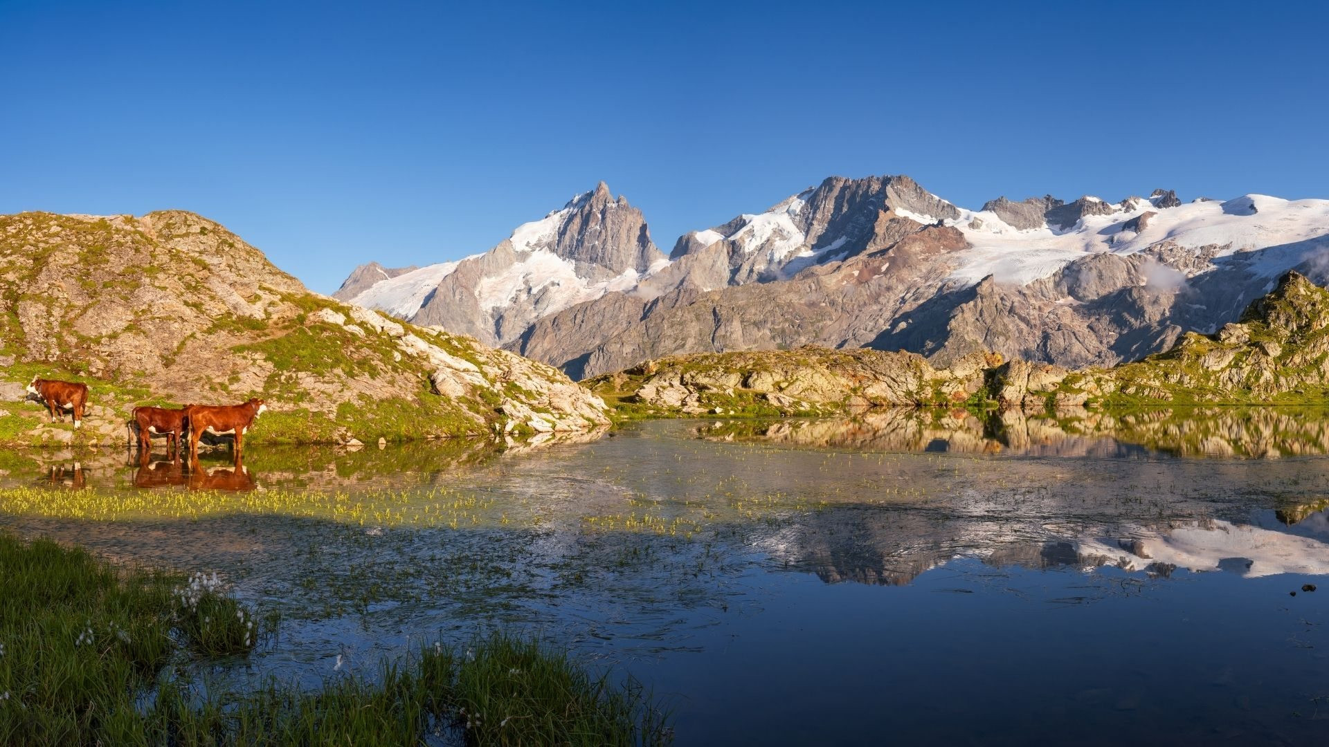 Oisans and Écrins or where to go in the Northern Alps this summer