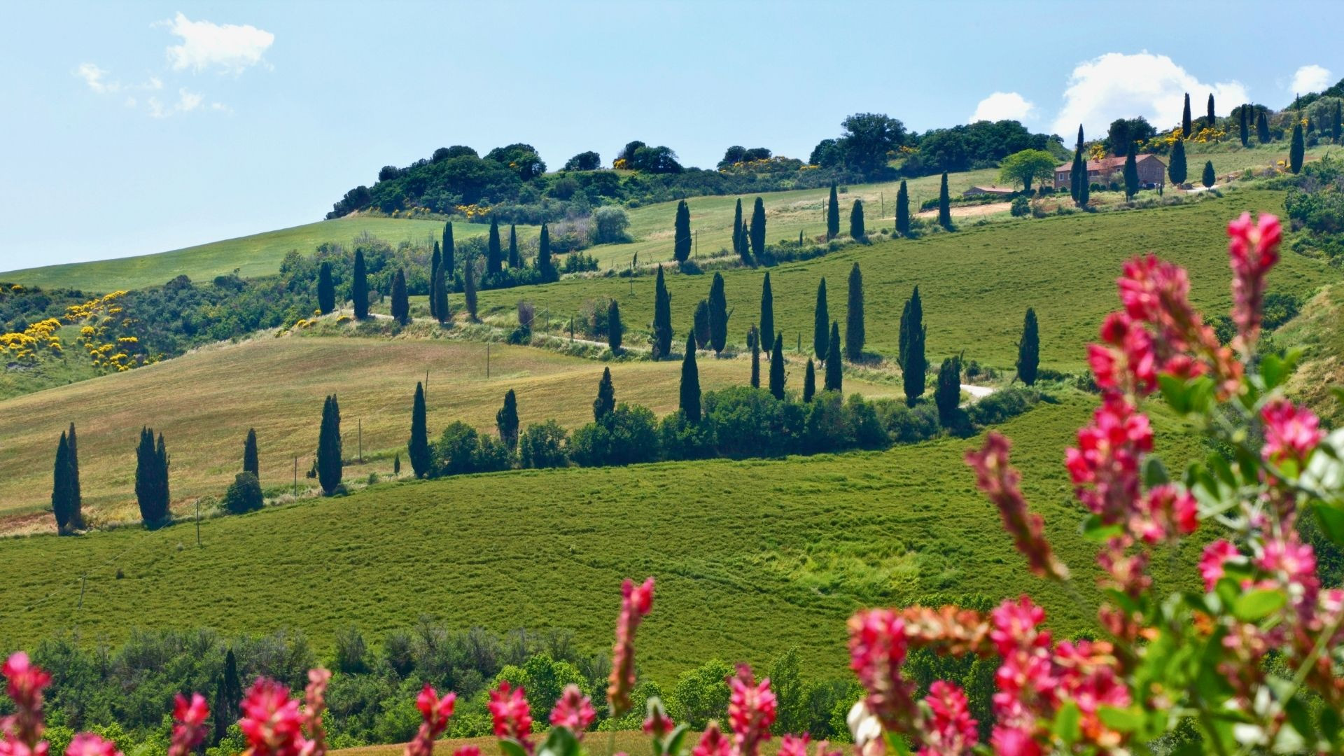 where to cycle in the sun Tuscany