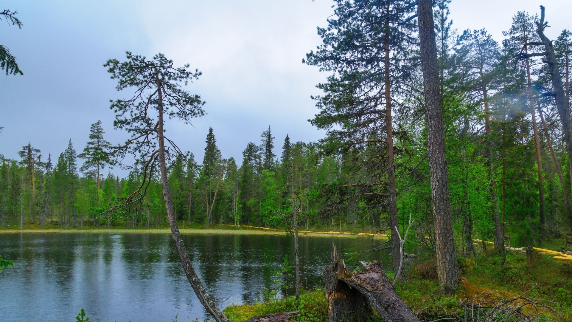 Oulanka National Park in Finland