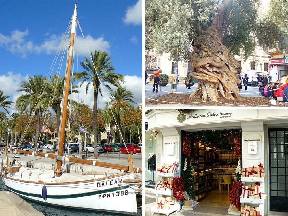 Palma de Mallorca