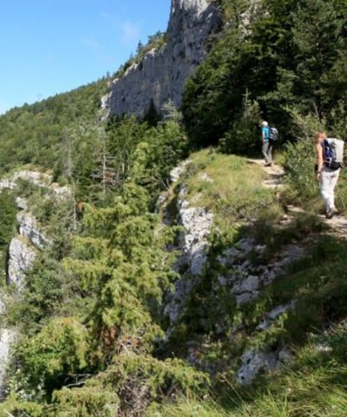 © Wilfrid Valette Sentier panoramique vers Oberstdorf - Bavière - Allemagne