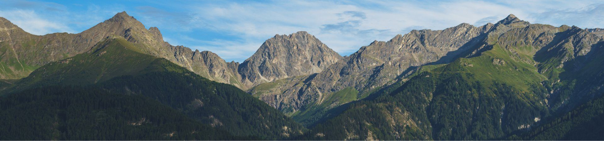 Panorama of alpine peaks and mountain forests - Alps